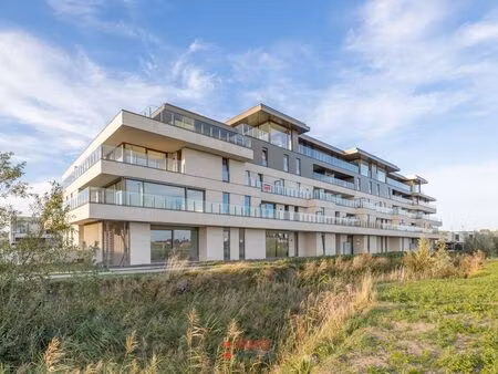 appartement à louer à oostende € 800 (ko6ig) | zimmo