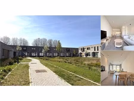 duplex à louer à du roy de blicquylaan 5v sterrebeek (vbe15553)