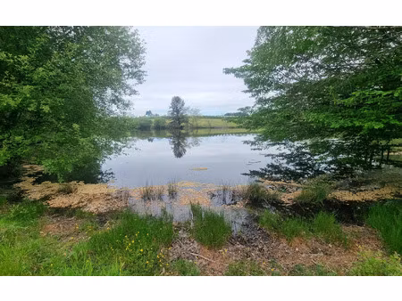 terrain saint-yrieix-la-perche m² t- à vendre  29 000 €