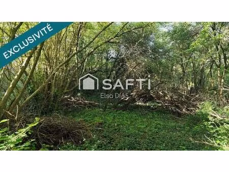 safti dias elsa conseiller indépendant