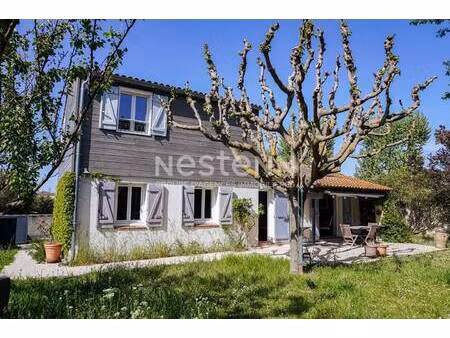 nestenn bouc bel air