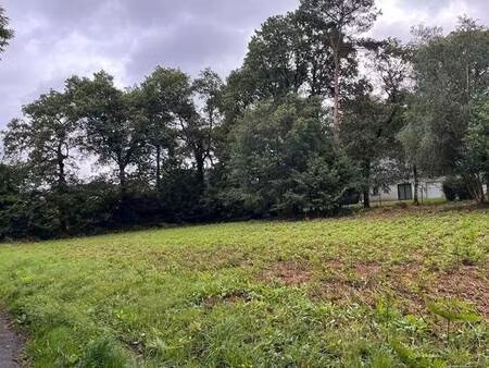 terrain constructible à vendre