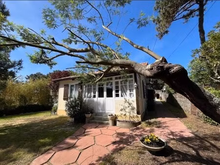 maison de luxe à vendre dans le quartier centre cap ferret