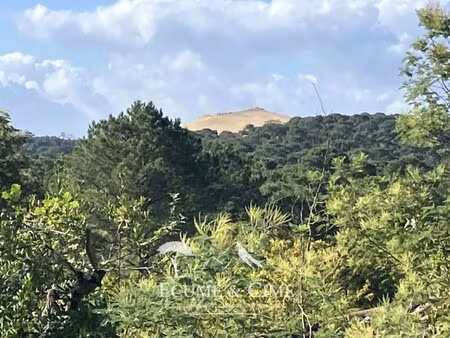 villa de luxe à vendre à pyla sur mer