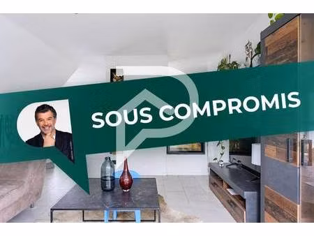 stephane plaza immobilier colmar -sud