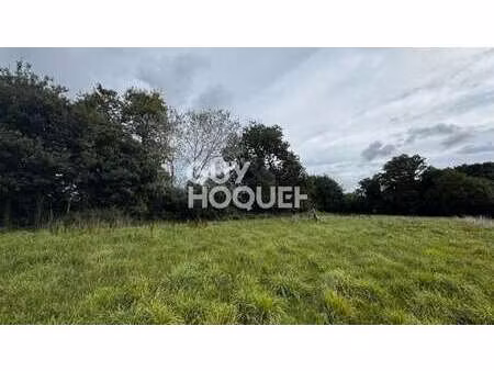 vente terrain à theix-noyalo (56450) : à vendre / 377m² theix-noyalo