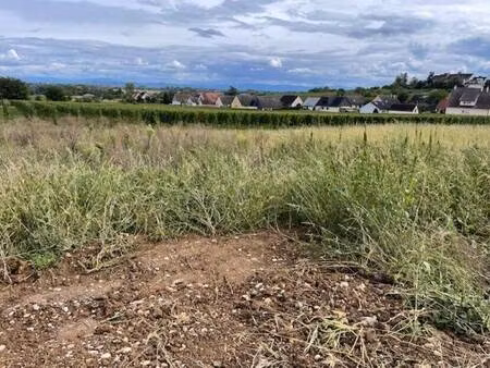 terrain constructible à vendre