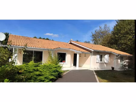 maison contemporaine à vendre à salles - 6 pièces  piscine et garage double