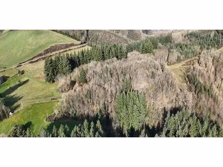 terrain curvalle (81)