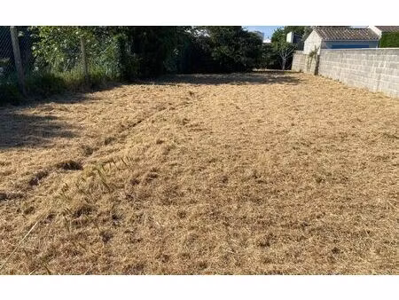 terrain saint-denis-d'oléron m² t- à vendre  169 600 €