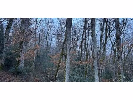 terrain vebret (15)