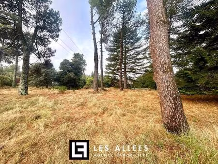 terrain constructible viabilisé à vendre