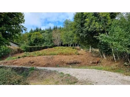 terrain constructible viabilisé à vendre
