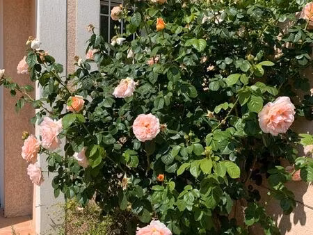 villa 4 pièces 88m2 terrain 300m2 dans résidence sécurisée aix en provence/les milles