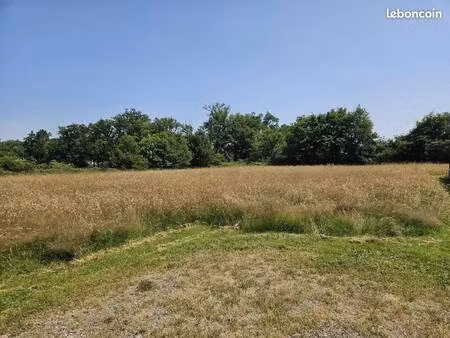 terrain constructible viabilisé à vendre