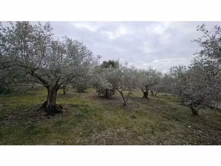 villas prisme manosque