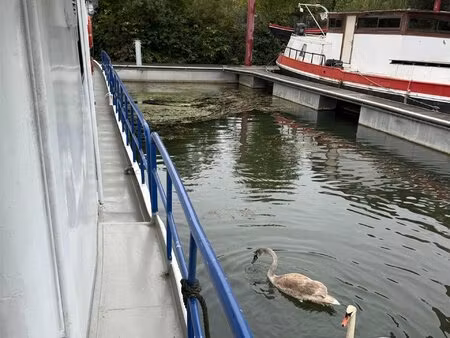 vente péniche 5 pièces