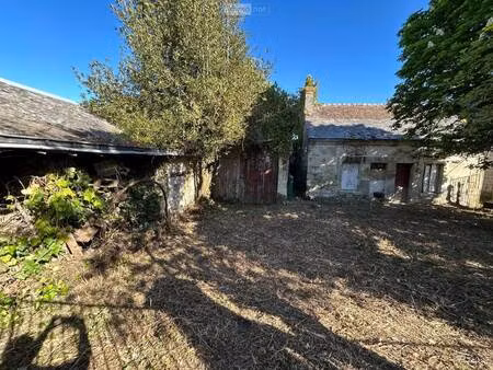 selarl azay nota group