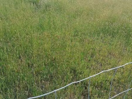 vente terrain à kergrist (56300) : à vendre / kergrist