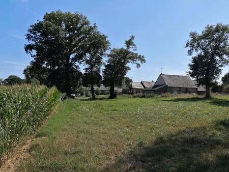 vente terrain à loyat (56800) : à vendre / 2000m² loyat