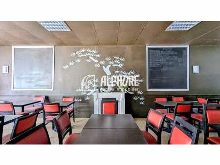 vente bureaux et commerces bord de mer à saint-michel-chef-chef (44730) : à vendre bord de