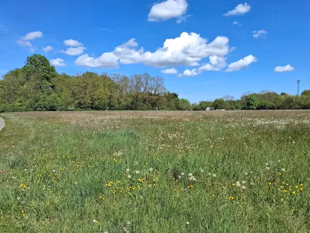vente terrain à chantecoq (45320)  30 000 €