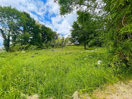 vente terrain 4343 m² à altillac (19120)  34 000 €