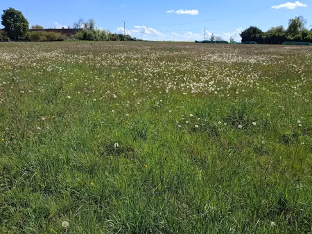vente terrain à chantecoq (45320)  33 000 €
