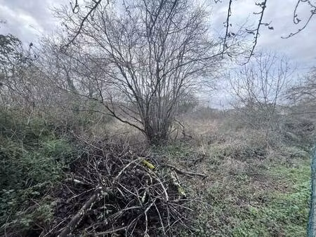 terrain constructible viabilisé à vendre