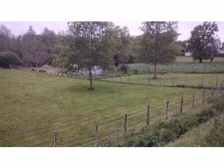 vente terrain à avessac (44460) : à vendre / avessac