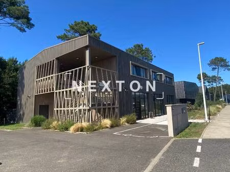 nexton immobilier