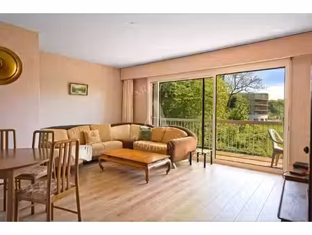 arribas immobilier