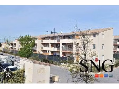 s.n.g immobilier