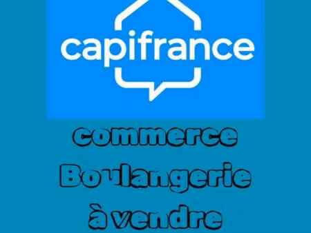 ludwiczak veronique capifrance