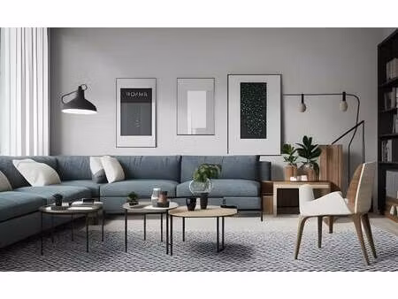 medicis immobilier neuf
