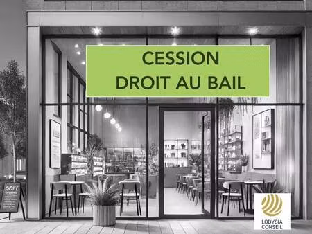 lodysia conseil