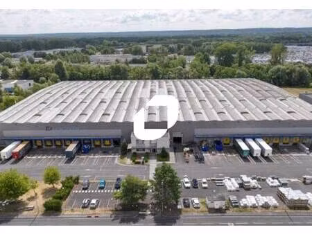 immprove grande activité & logistique