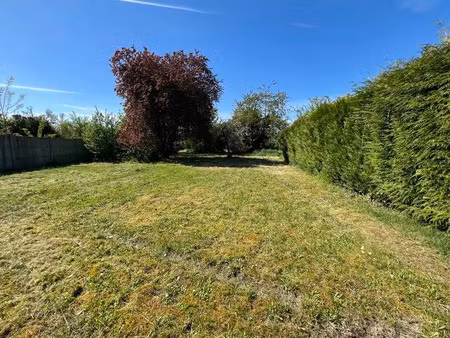 vente terrain 1304 m² à lamotte-beuvron (41600)  66 780 €