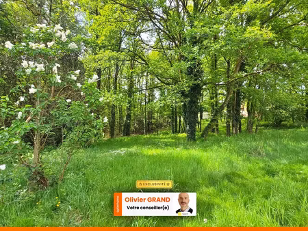 vente terrain 6365 m² à saint-junien (87200)  55 000 €