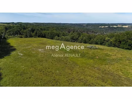 vente terrain 13314 m² à saint-léon-sur-vézère (24290)  77 000 €