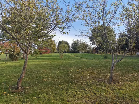 vente terrain 1600 m² à saint-paterne-racan (37370)  48 760 €