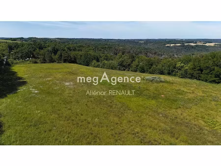 vente terrain à batir 13314 m² à saint-léon-sur-vézère (24290)  77 000 €