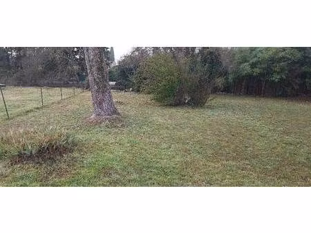 terrain constructible à vendre