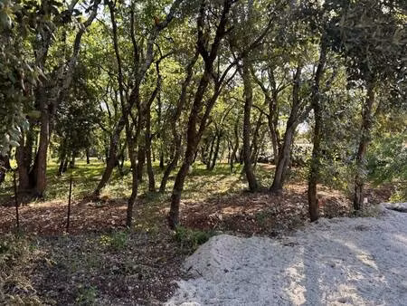 terrain constructible viabilisé à vendre
