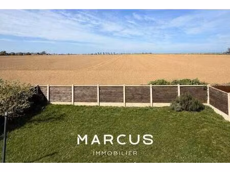 marcus immobilier