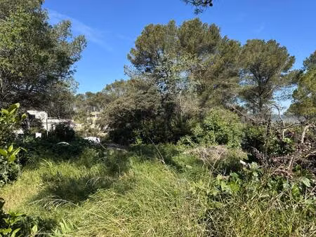 terrain à vendre