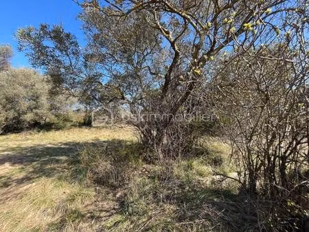 terrain constructible viabilisé à vendre