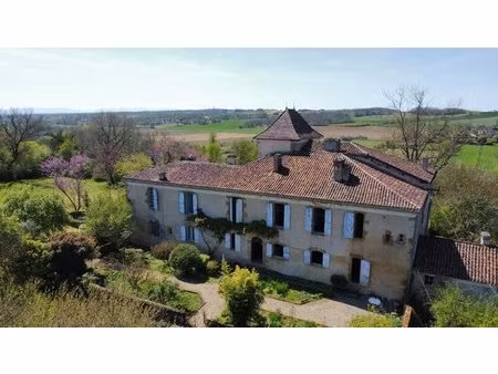 château chargé d’histoire face aux pyrénées sur 13 5 hectares