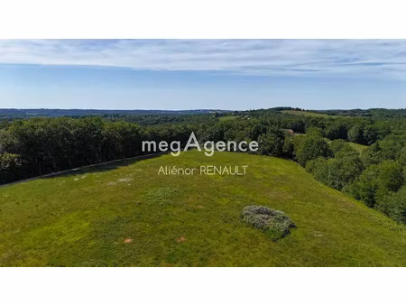 vente terrain 24541 m² à saint-léon-sur-vézère (24290)  143 000 €