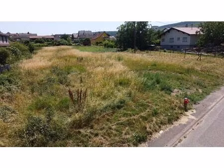 terrain constructible
